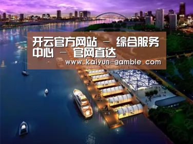 案例展示八