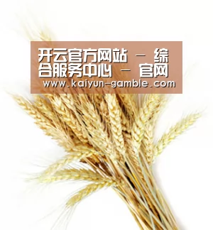 开云官方网站 - 综合服务中心 - 官网直达