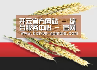 开云官方网站 - 综合服务中心 - 官网直达
