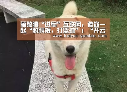 开云品牌