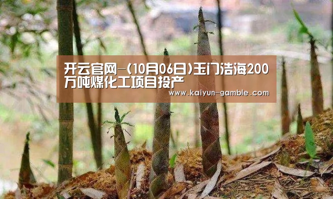 开云官网-(10月06日)玉门浩海200万吨煤化工项目投产(图3) 开云官网