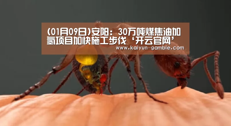 (01月09日)安阳:30万吨煤焦油加氢项目加快施工步伐‘开云官网’(图2) 开云品牌