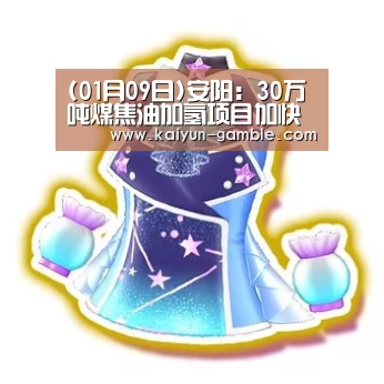 (01月09日)安阳:30万吨煤焦油加氢项目加快施工步伐‘开云官网’(图4) 开云视讯