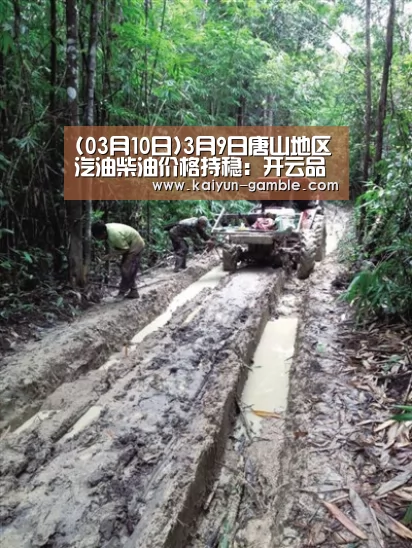 (03月10日)3月9日唐山地区汽油柴油价格持稳:开云品牌(图3) 开云品牌