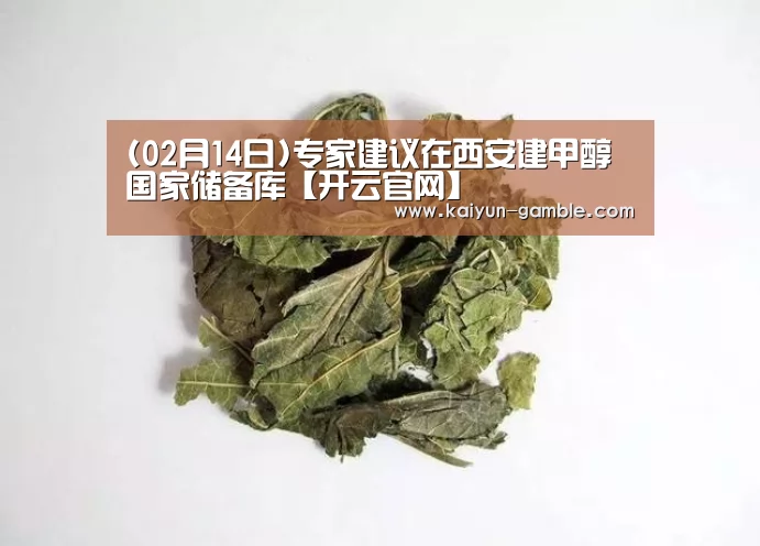 开云体育