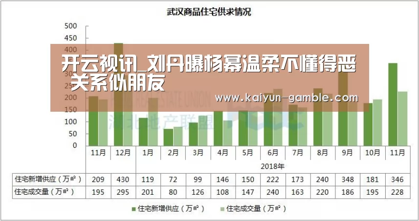 开云视讯