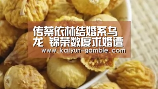 传蔡依林结婚系乌龙 锦荣数度求婚遭拒“开云体育”(图3) 开云官网