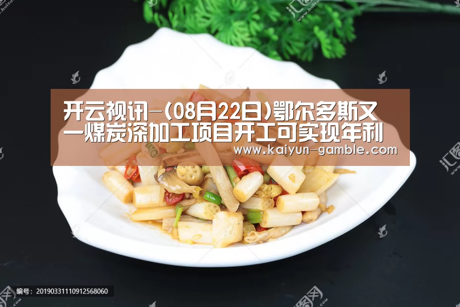 开云视讯-(08月22日)鄂尔多斯又一煤炭深加工项目开工可实现年利润10亿元!(图2) 开云体育